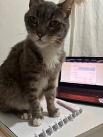 Benny