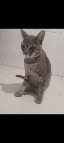 Paul