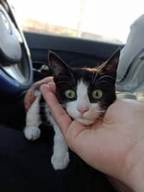Tux