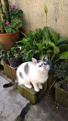 Lucie