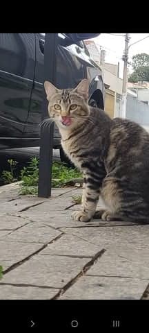 Boba