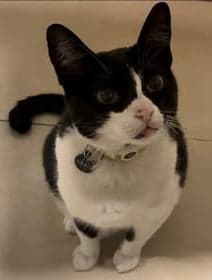 Eloise