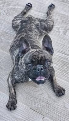 Floyd