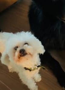 Tilly