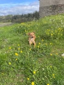 Fred