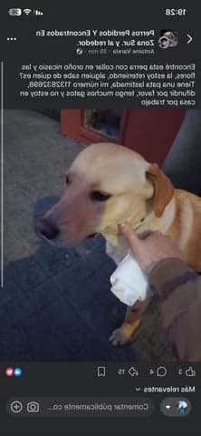 Winnie