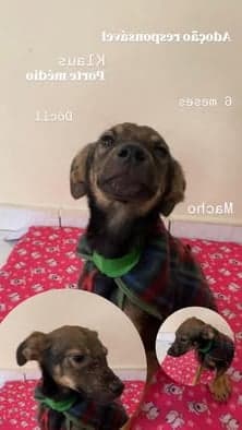 Smilla
