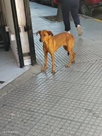 Sol