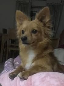 Topaz