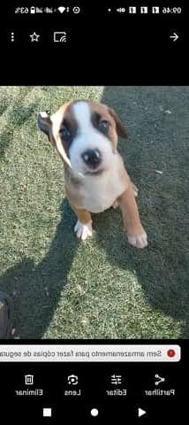 Nora