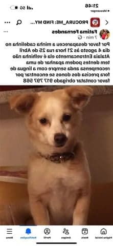 Loki