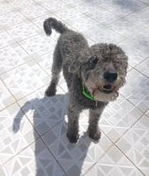 Nellie