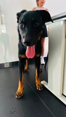 Monty
