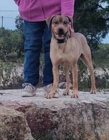 Lexi