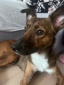 Zoe