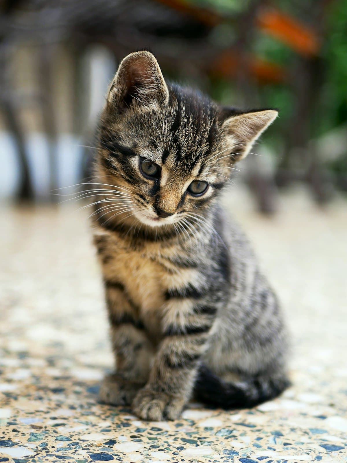 Stripey