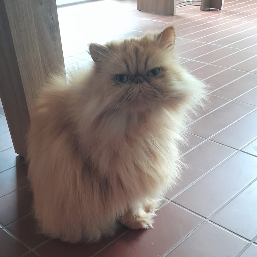 Pen10