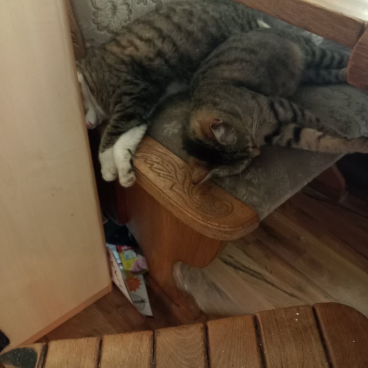 Schönerle und Mörchen beitr Mama