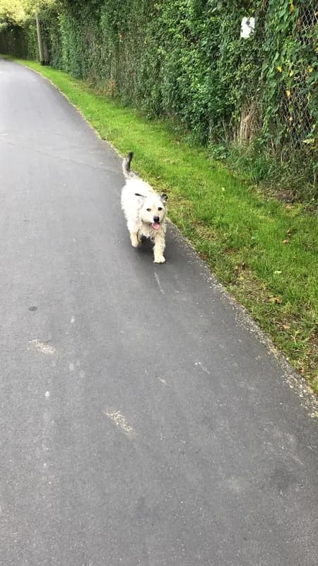 Max