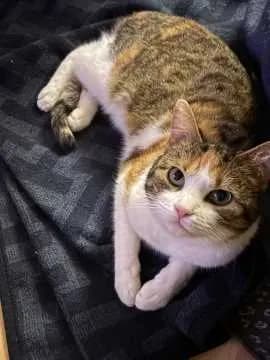 Emmi