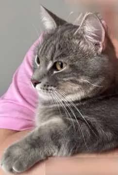 Sammy