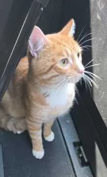 Milo