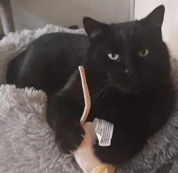 Brösel