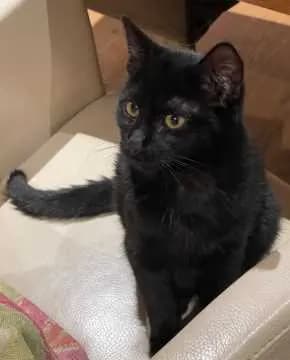 Blacky