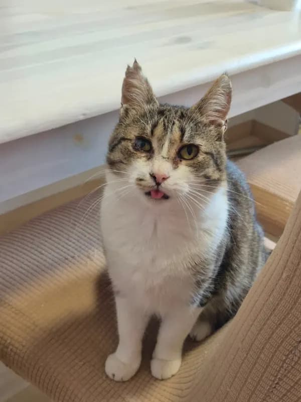 Tom