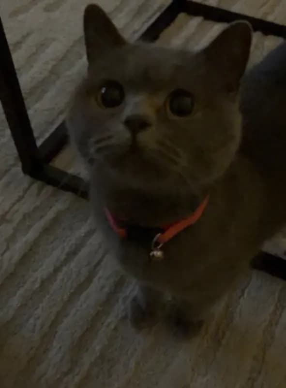 Minos