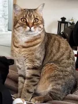 Leo