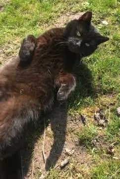 Mia