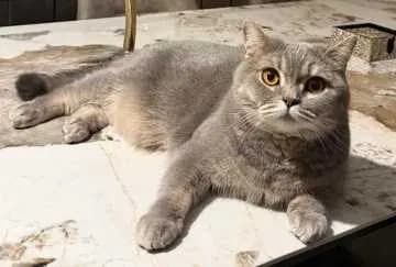 Chikita