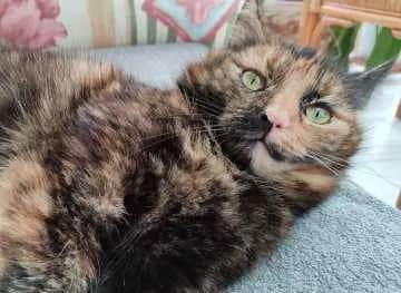 Kira
