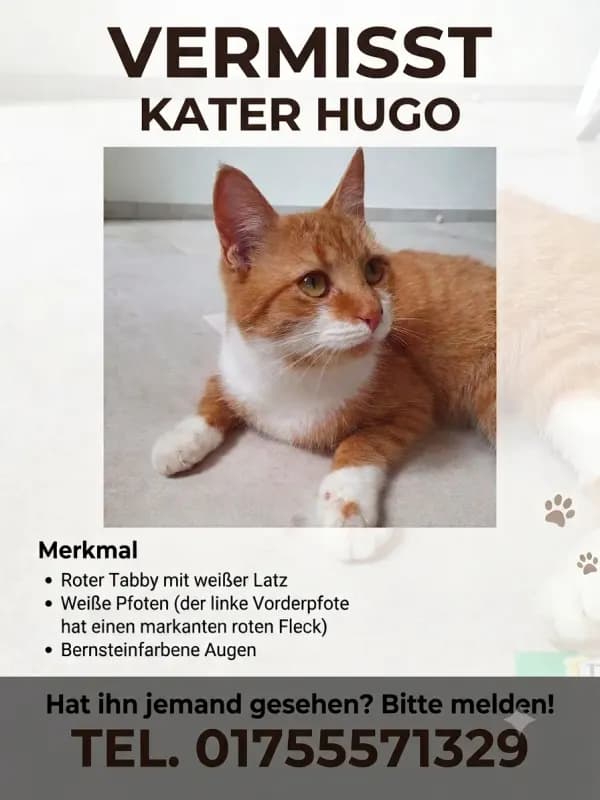 Hugo