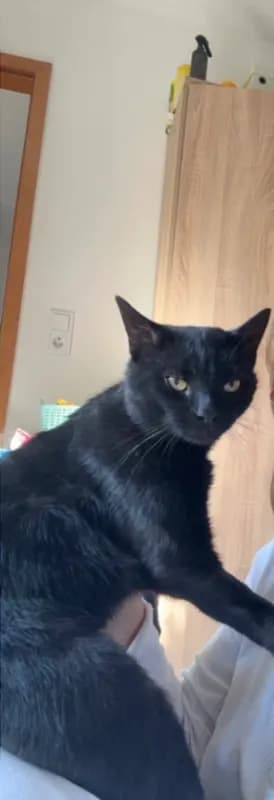 Schwarz