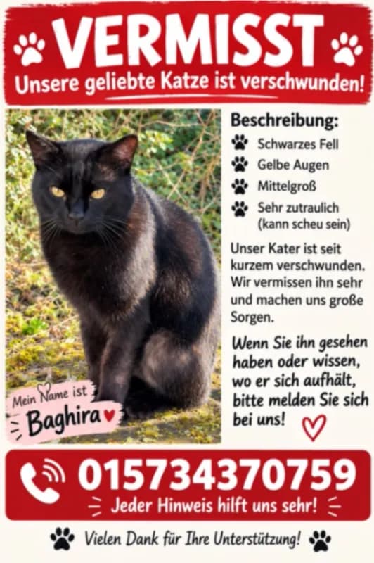 Bagera