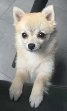 Suna