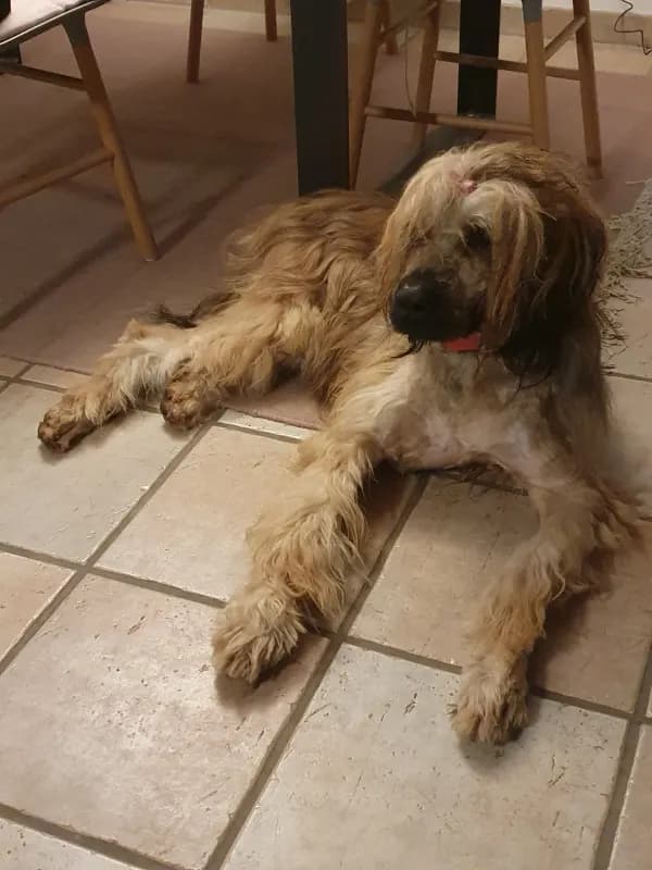 Lucie