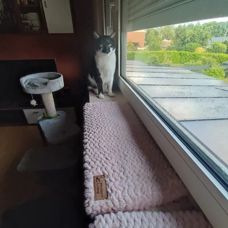 Milo