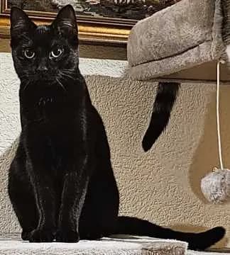 Sebastian