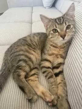 Minzi