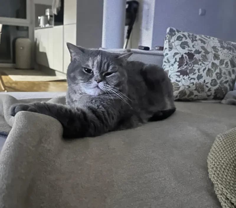 Mimi