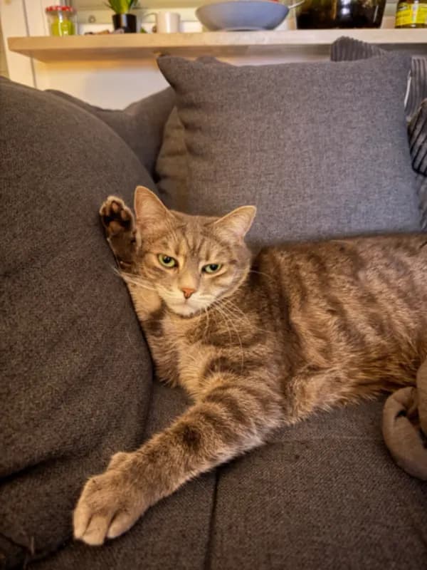 Max