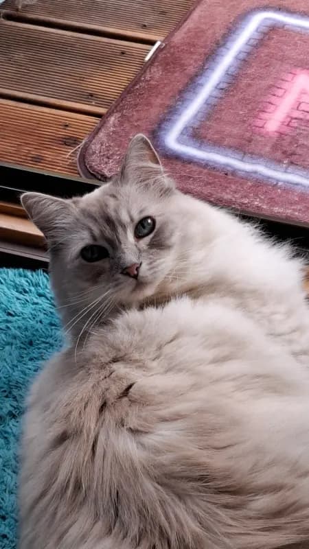 Fiona