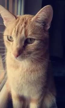 Charly