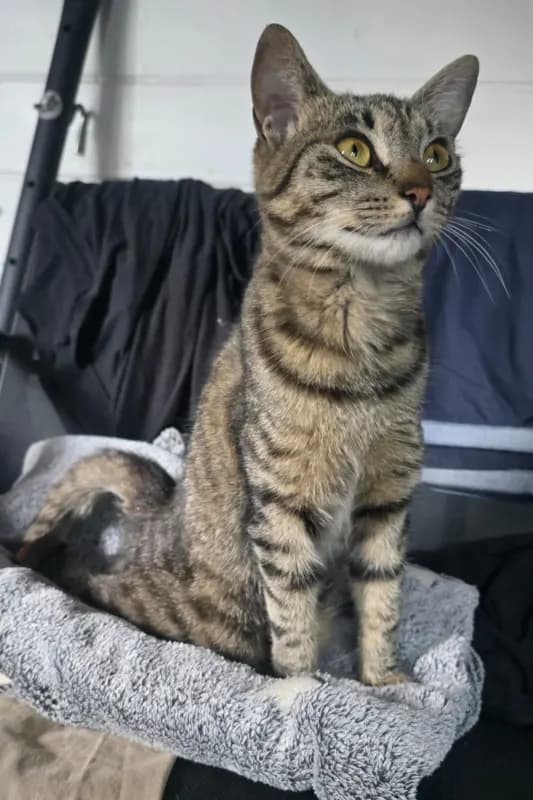 Mimi