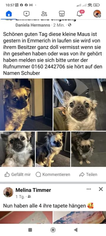 Schuba