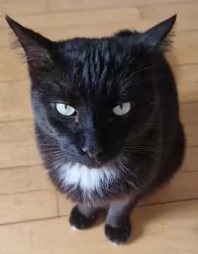 Pablo