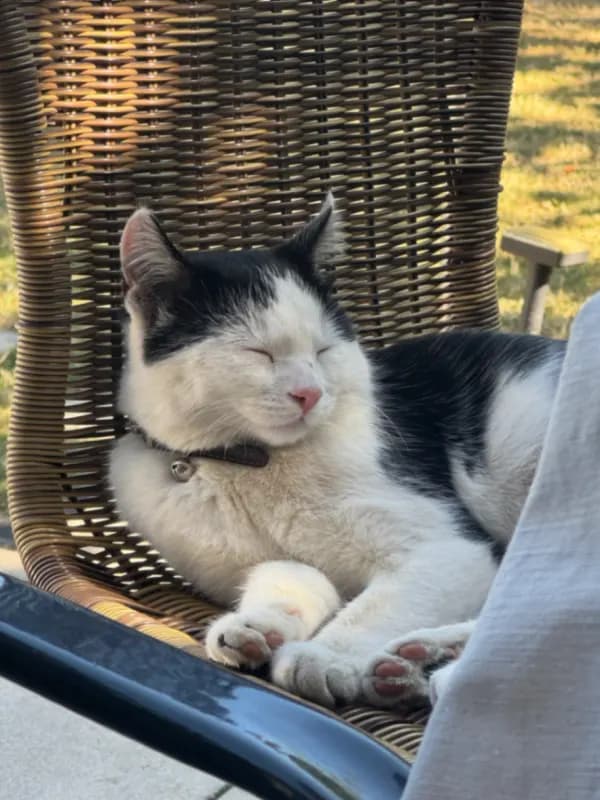Kiko